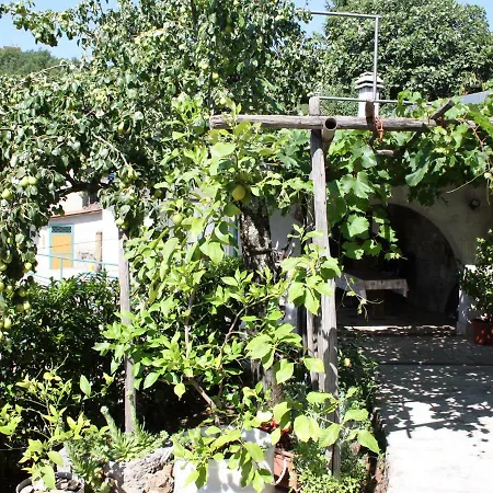 Vesna Free Parking