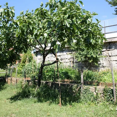 Vesna Free Parking Apartmán