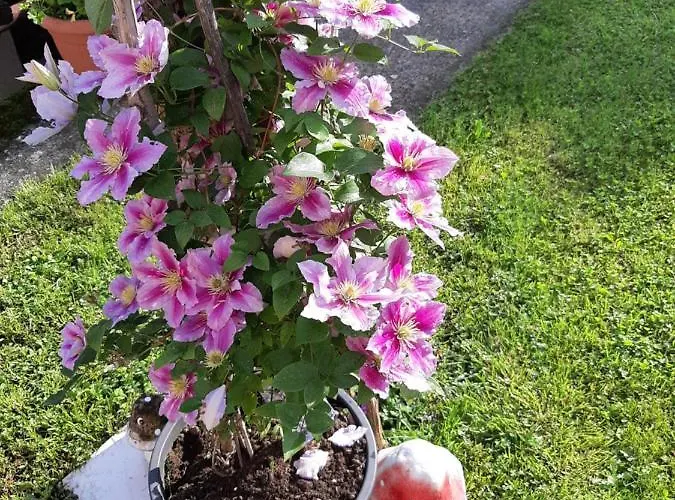 Vesna Free Parking Apartmán Opatija