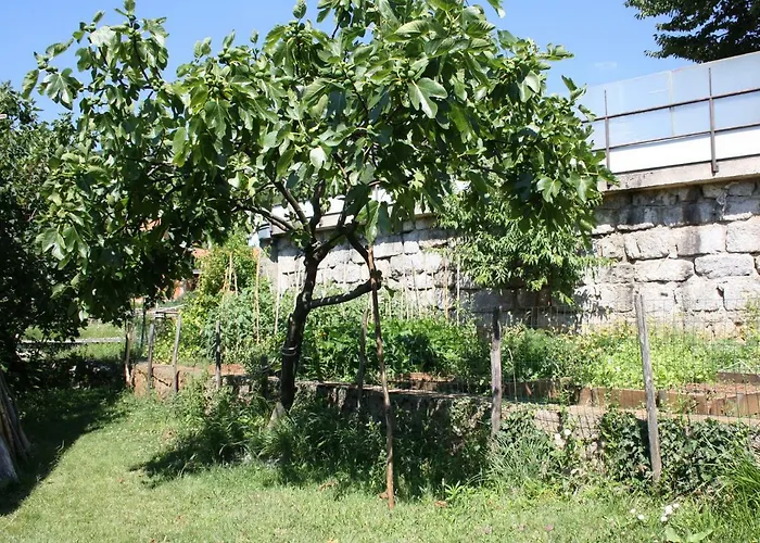 Vesna Free Parking Apartmán