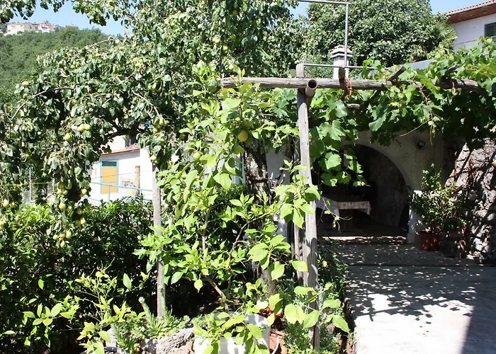 Vesna Free Parking