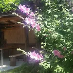 Apartment Vesna Free Parking *